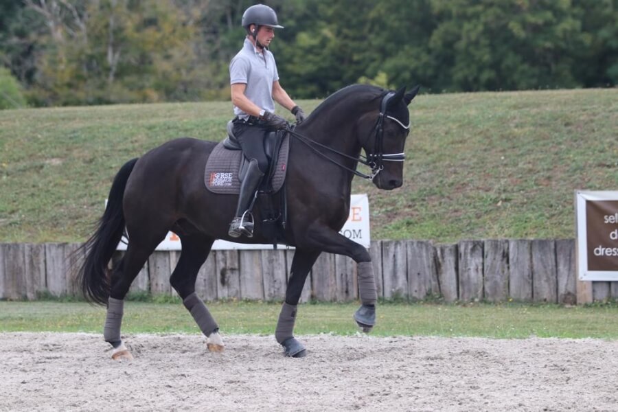 Technique Dressage : Choosing the right posture
