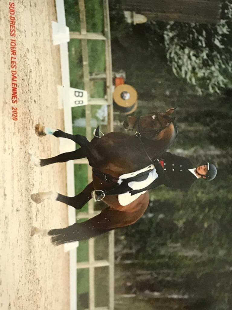 Acheter un cheval de dressage en toute confiance