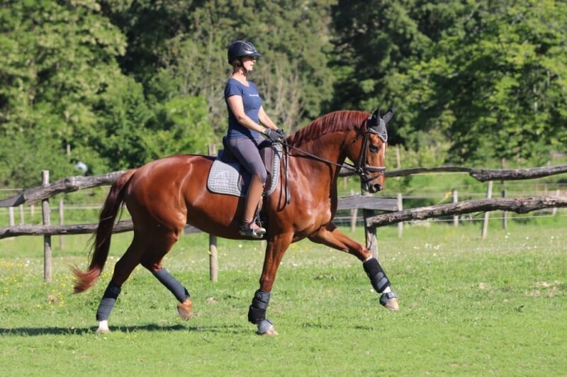 Aulion Sellier : Un S.A.V. à 100%