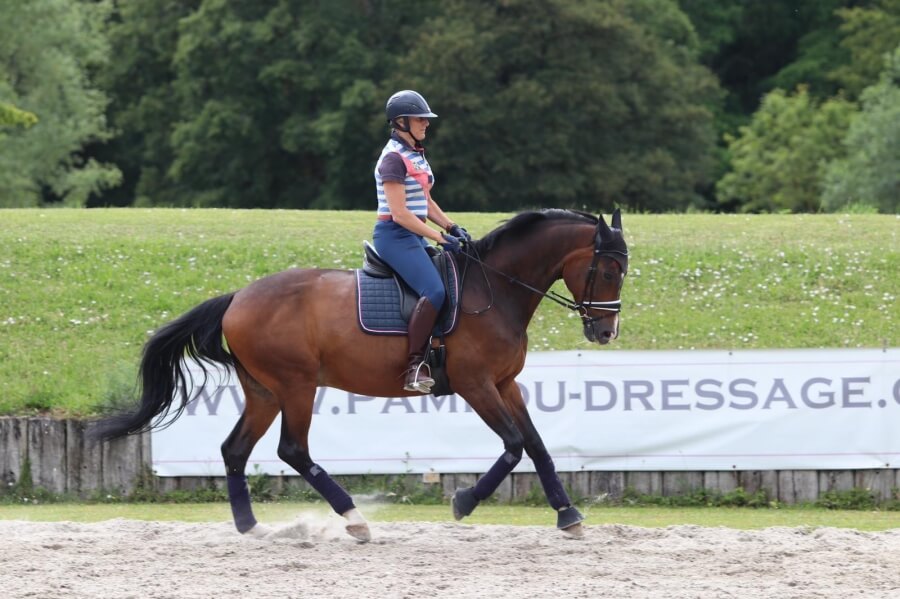 Rehus Hit, maitre d'école pour Françoise Bourgeois