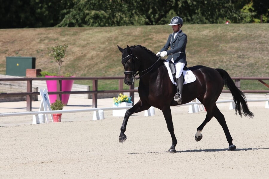 Vicomte gagnant à Jardy