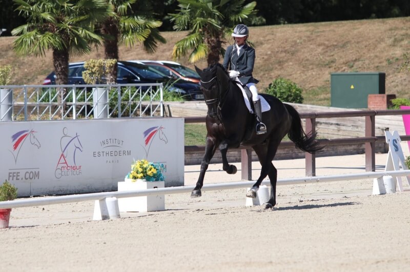 Technique Dressage : Partir au galop