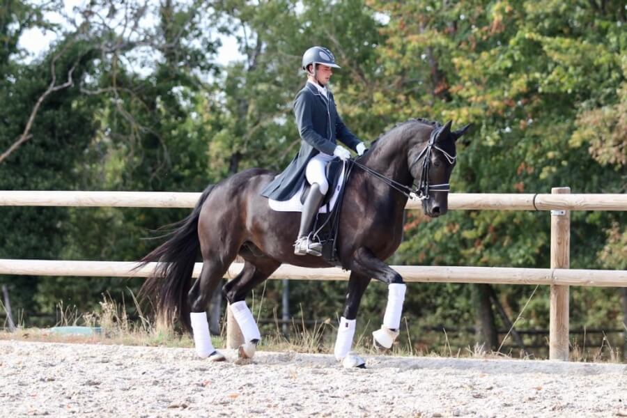 Gotilas dépasse les 73% en Pro 1