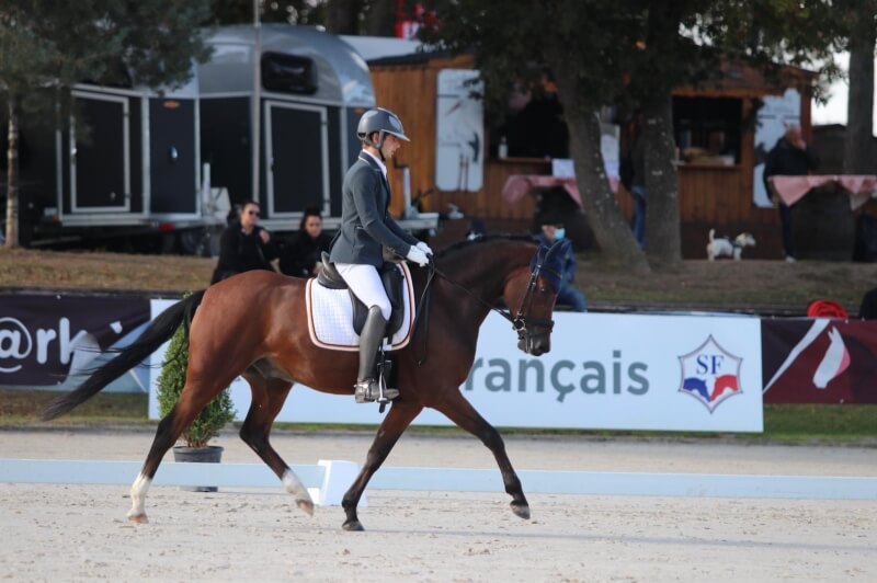 Dude prime Espoir en 4 ans Poney