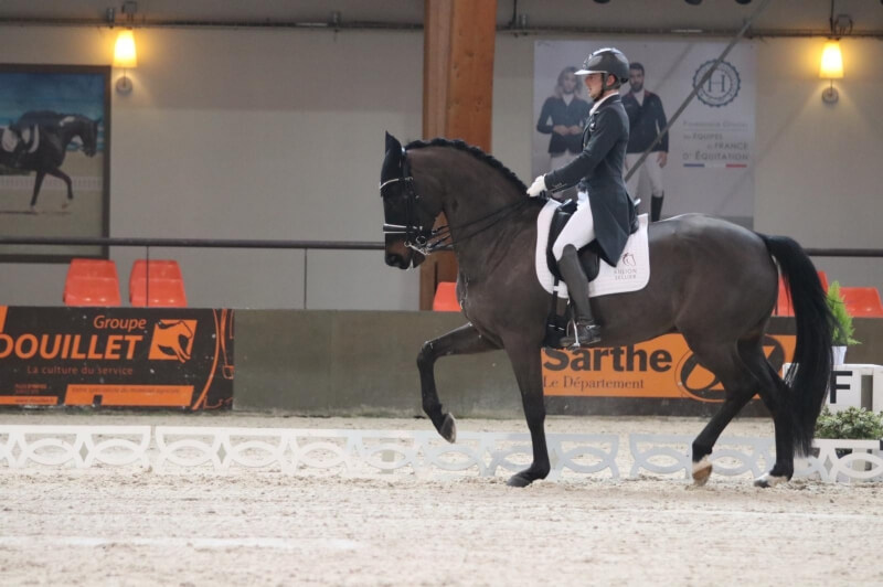 Gotilas fait ses débuts en Médium Tour