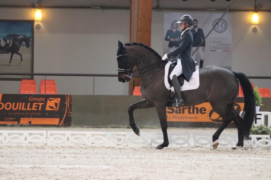 Gotilas fait ses débuts en Médium Tour