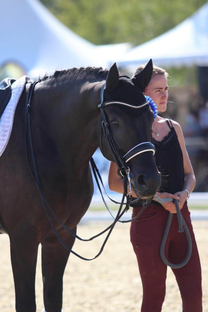 Portrait de groom : Compléter le duo cavalier/cheval