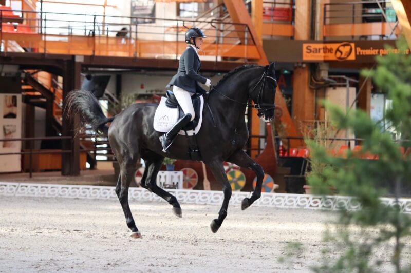 Technique Dressage : Les lignes de changements de pied