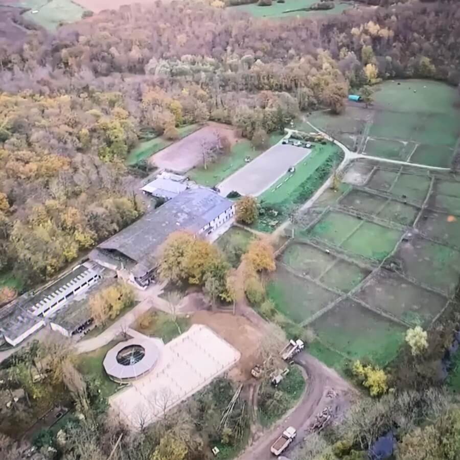 Pamfou Dressage dans un reportage vidéo exclusif