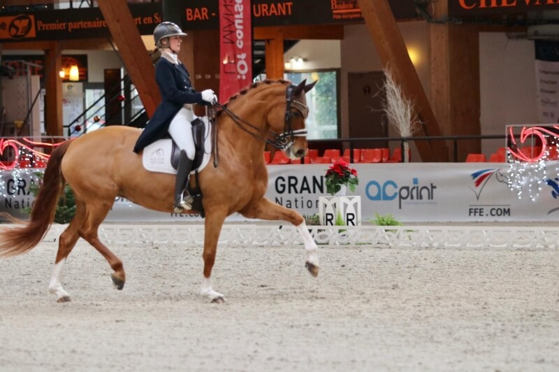 Technique Dressage : Créer de l'expression au trot