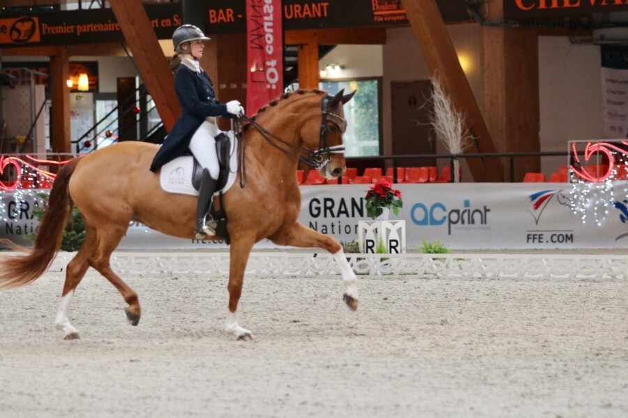 Technique Dressage : Créer de l'expression au trot