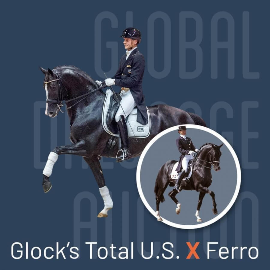 Global Dressage Auction : Achetez un foal de dressage