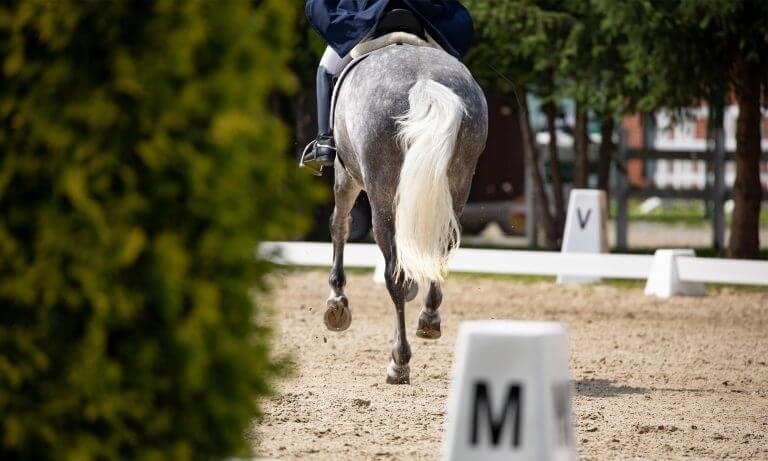 Isabelle JUDET juge les championnats du monde 2021 à VERDEN
