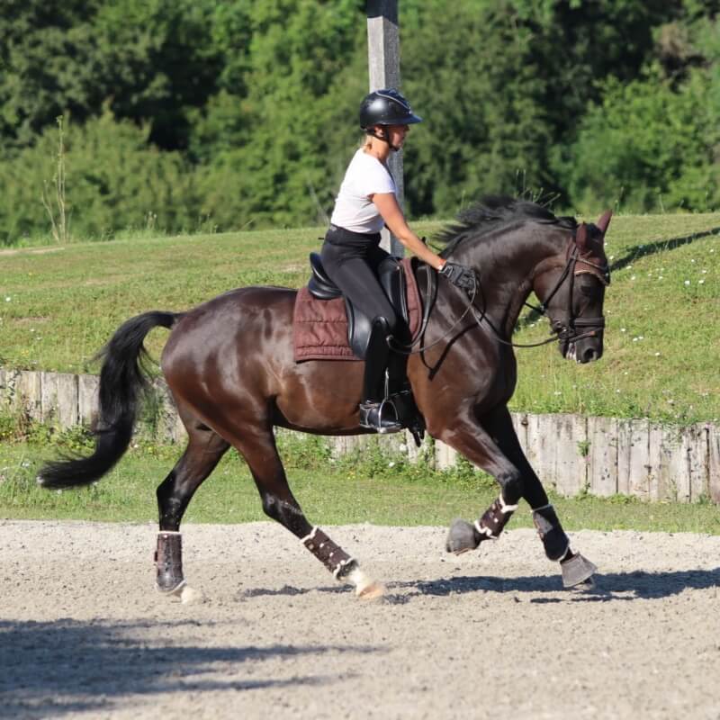 Enjoy life vendu début Août