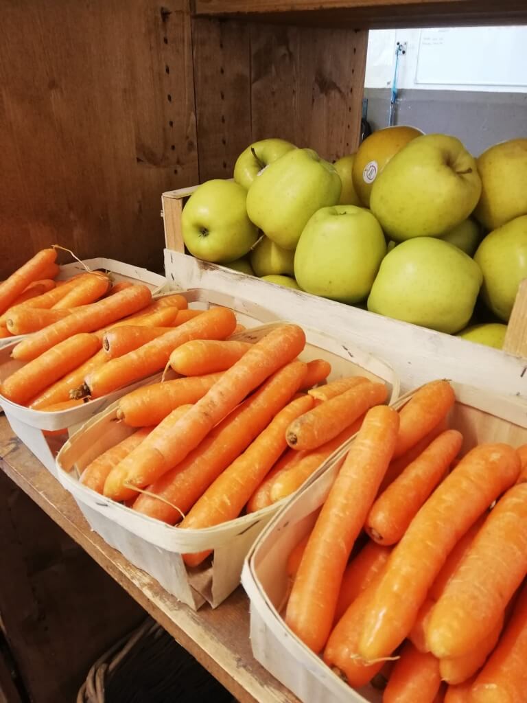 Les 3 fruits préférés de nos chevaux
