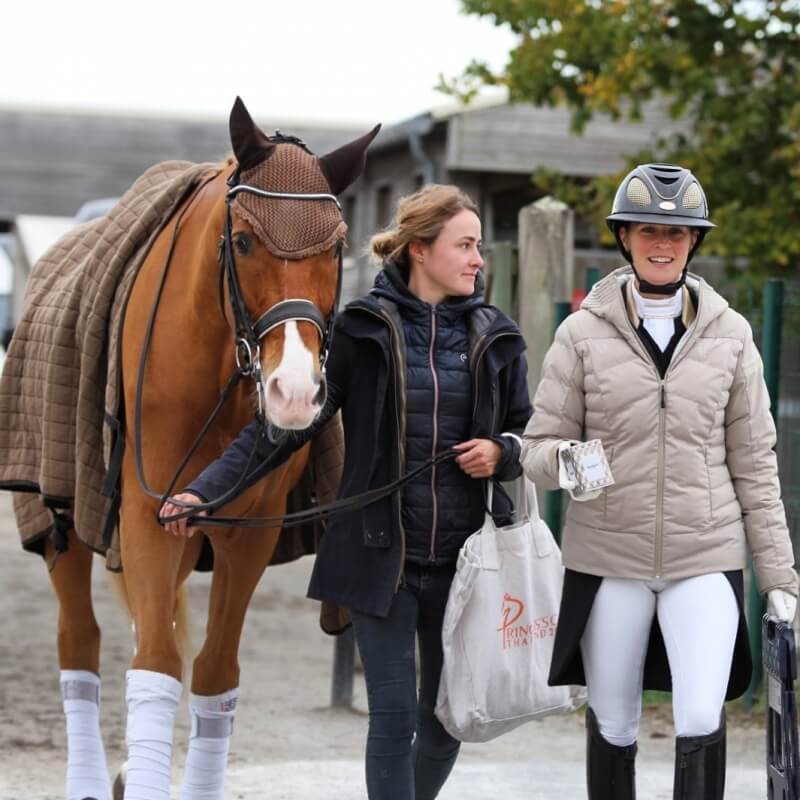 Pamfou Dressage recherche sa/son futur groom maison