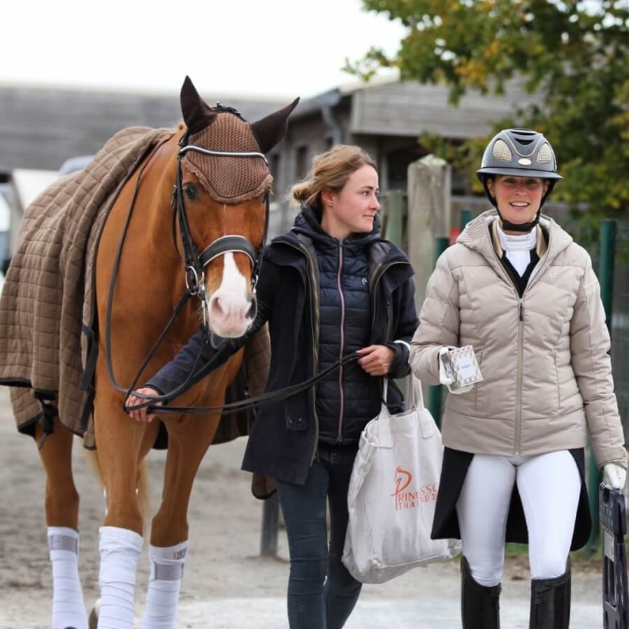 Pamfou Dressage recherche sa/son futur groom maison
