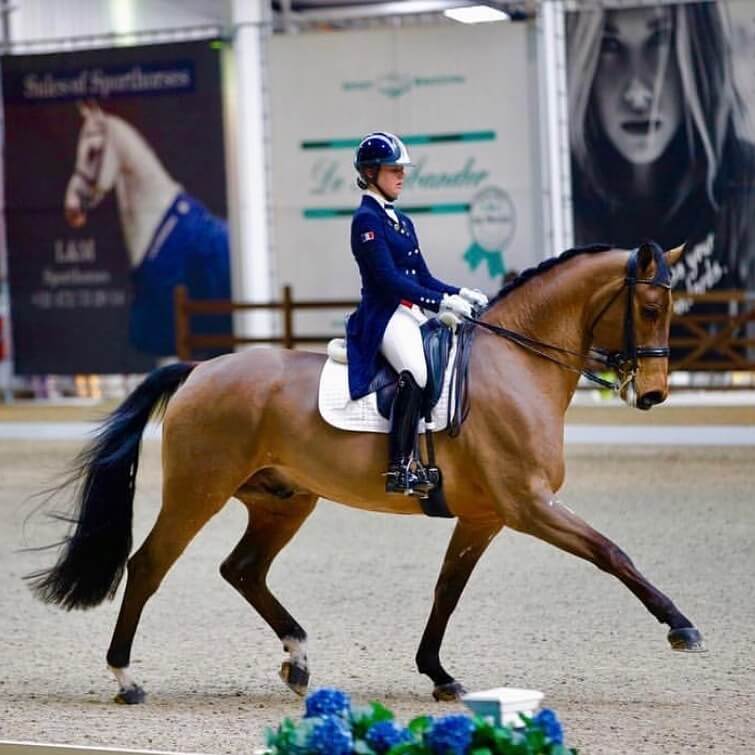 Un cheval de l'équipe de France Junior change de cavalière