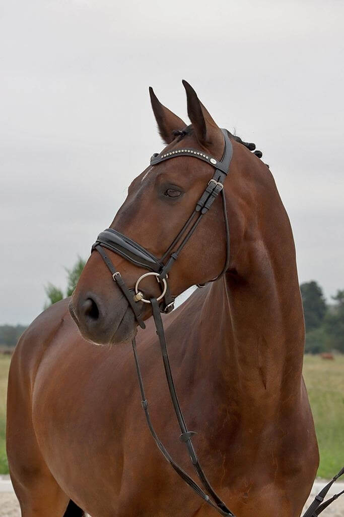 Jedai de Massa vendu en Corée du Sud