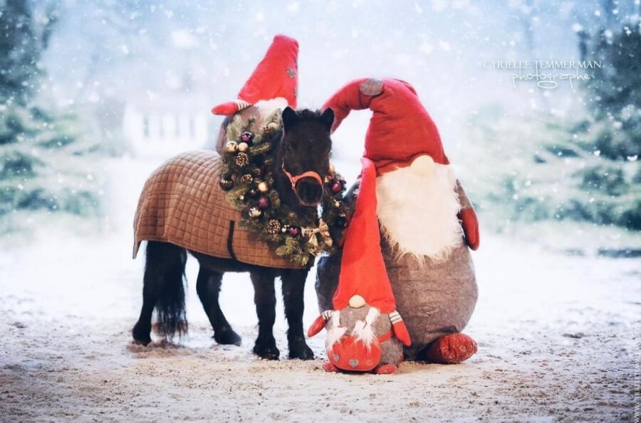 Cyrielle Temmerman, photographe de talent