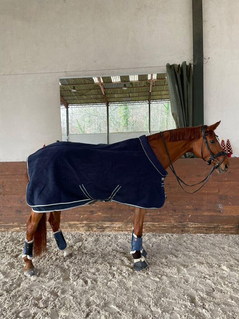 VLC Europe distribue Horseware