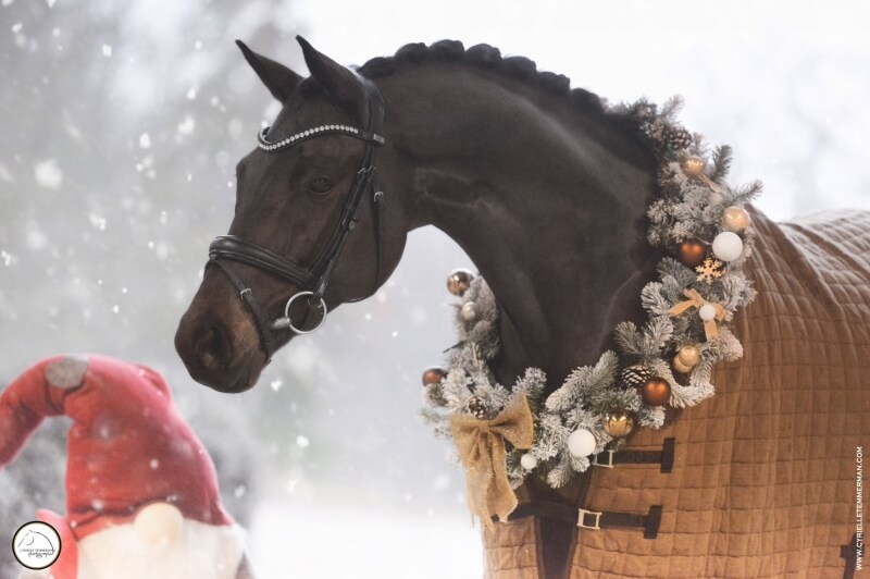 Let's Go de Massa vendu aux États Unis