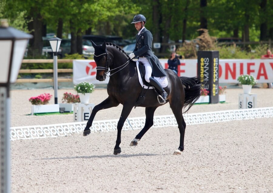 Pamfou Dressage truste les podiums au CDI4* du Mans